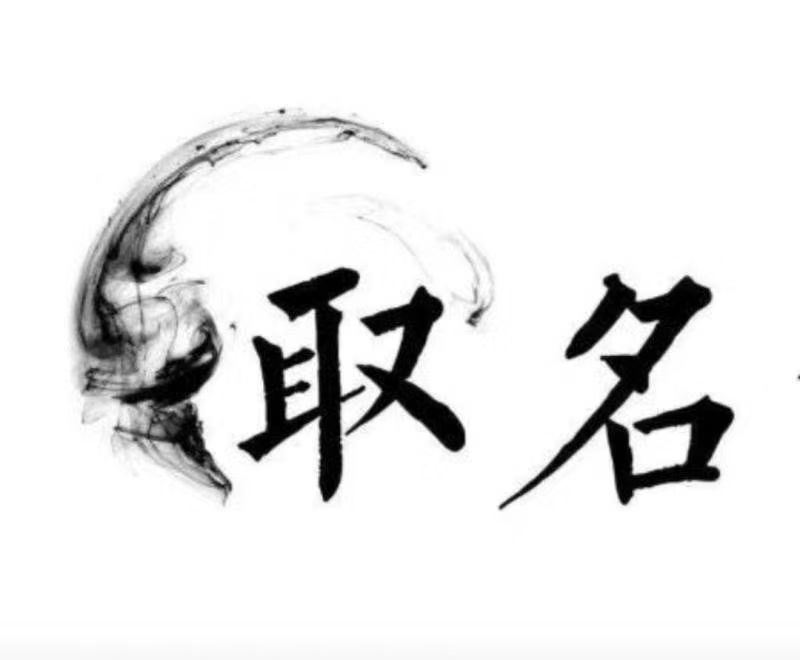  龙州宝宝取名 大师一对一人工起名