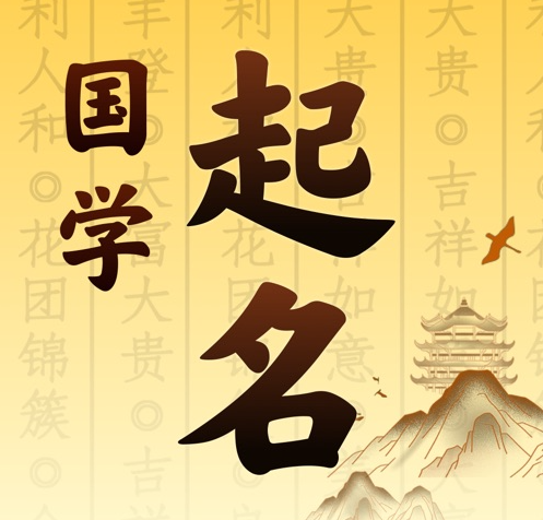 龙州国学起名 人工起名一对一